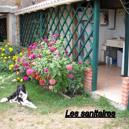 Ferme Equestre Les Chevaliers Hotell Penol Exteriör bild
