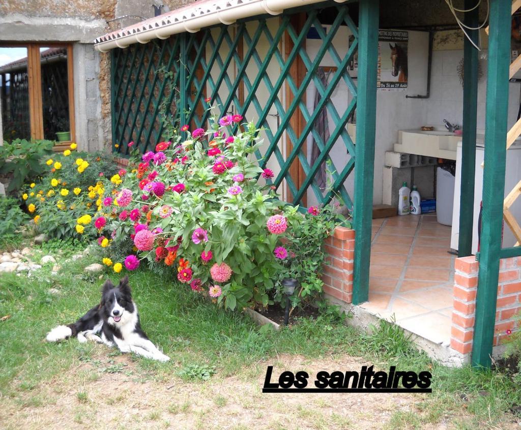 Ferme Equestre Les Chevaliers Hotell Penol Exteriör bild
