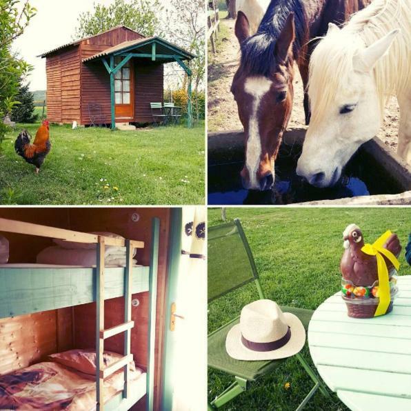 Ferme Equestre Les Chevaliers Hotell Penol Exteriör bild